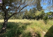 Xalet independent amb terreny en venda a la España, Chiclana de la Frontera, ref.: TR279813 foto