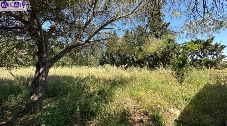 Cádiz - Chiclana de la Frontera - 2323m2