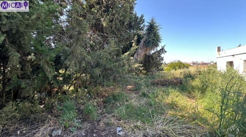 Cádiz - Chiclana de la Frontera - 2323m2