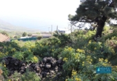 Non-developable land for sale on España, Mazo, ref: TR314597 photo