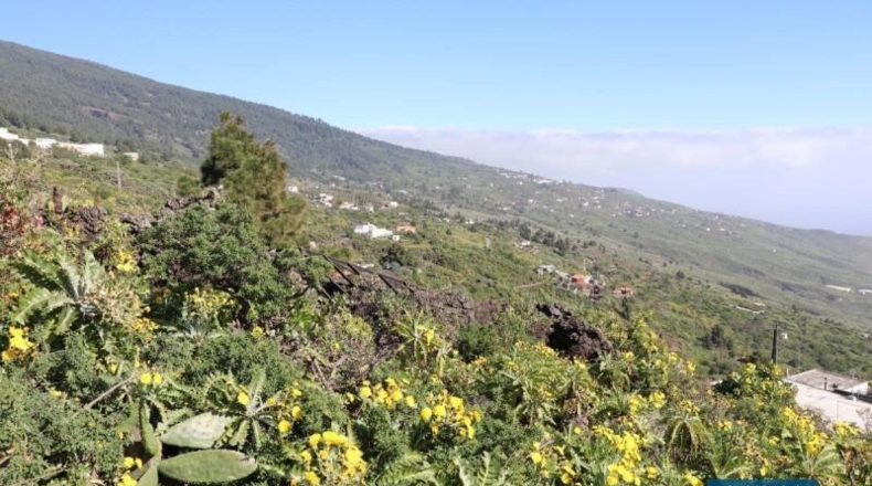 Santa Cruz de Tenerife - Poleal - 4939m2