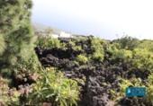 Non-developable land for sale on España, Mazo, ref: TR314597 photo