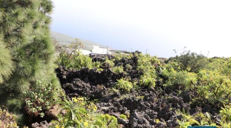 Santa Cruz de Tenerife - Poleal - 4939m2