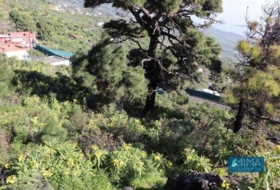 Mazo 4939&nbsp;m² 