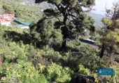 Non-developable land for sale on España, Mazo, ref: TR314597 photo