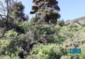 Non-developable land for sale on España, Mazo, ref: TR314597 photo