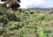 Non-developable land for sale on España, Mazo, ref: TR314597 photo