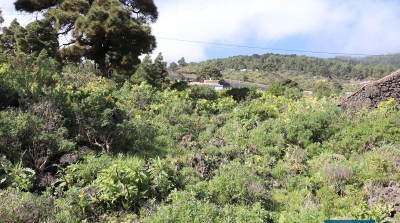 Santa Cruz de Tenerife - Poleal - 4939m2