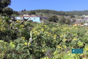 Mazo 4939&nbsp;m² 