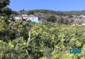 Non-developable land for sale on España, Mazo, ref: TR314597 photo