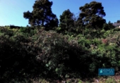 Non-developable land for sale on España, Mazo, ref: TR314597 photo