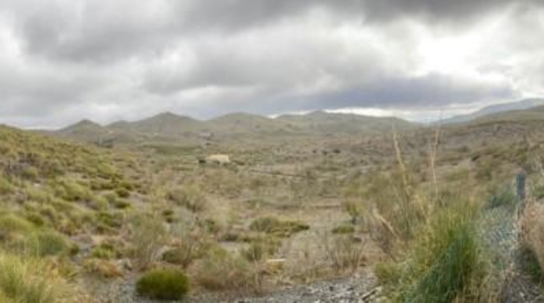 Huesca - Señés - 20000m2