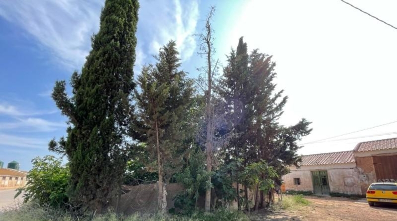 Мурсия - Fuente Álamo de Murcia - 225m2