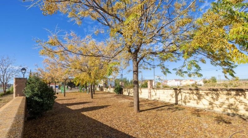 Granada - Ventas de Huelma - 403m2