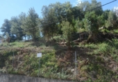 Urban land for sale on España, Corbera de Llobregat, ref: TR329510 photo
