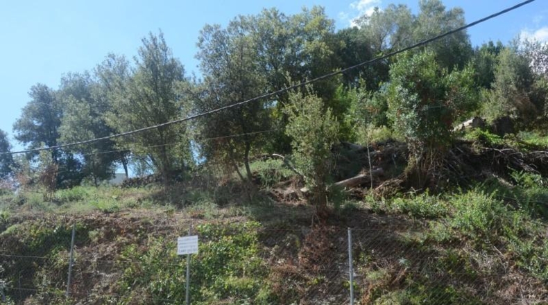 Barcelona - Corbera de Llobregat - 539m2