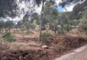 Sòl urbà en venda a la España, Castellvell del Camp, ref.: TR337551 foto