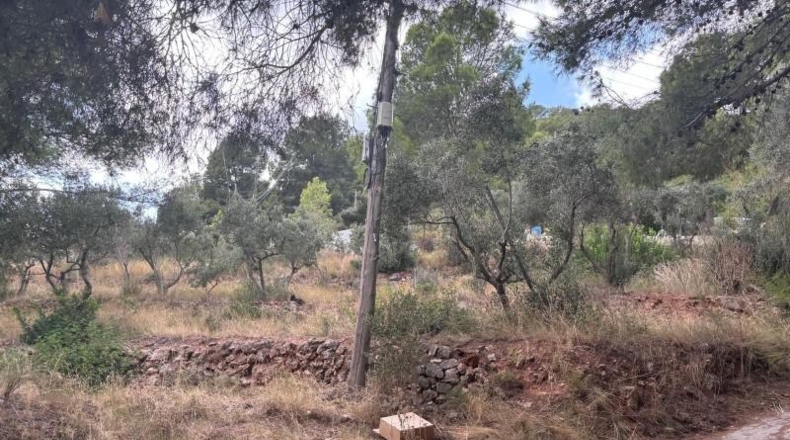 Tarragona - Castellvell del Camp - 1100m2