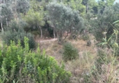 Sòl urbà en venda a la España, Castellvell del Camp, ref.: TR337551 foto