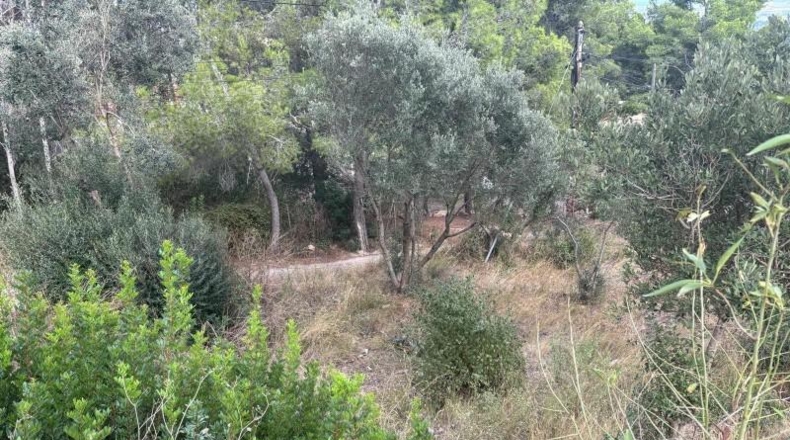 Tarragona - Castellvell del Camp - 1100m2