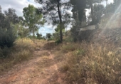 Sòl urbà en venda a la España, Castellvell del Camp, ref.: TR337551 foto