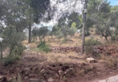 Sòl urbà en venda a la España, Castellvell del Camp, ref.: TR337551 foto