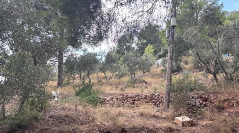 Tarragona - Castellvell del Camp - 1100m2