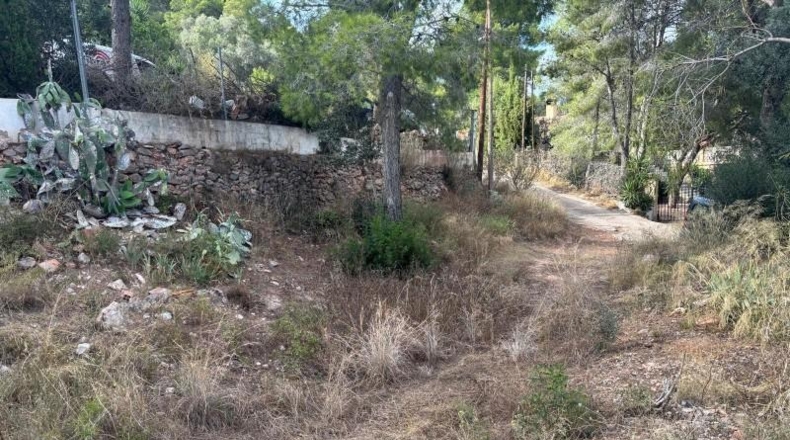 Tarragona - Castellvell del Camp - 1100m2