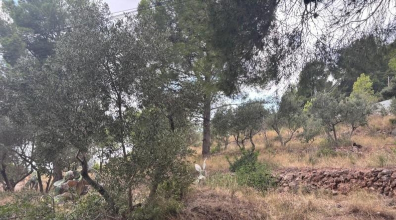 Tarragona - Castellvell del Camp - 1100m2