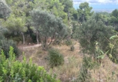 Sòl urbà en venda a la España, Castellvell del Camp, ref.: TR337551 foto