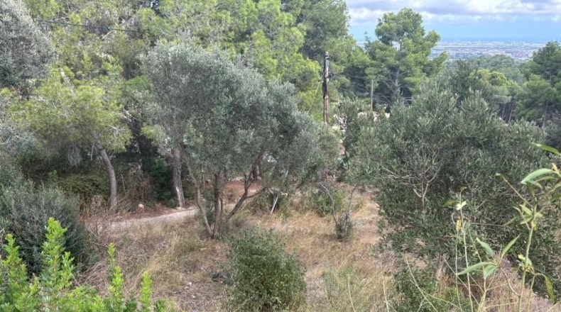 Tarragona - Castellvell del Camp - 1100m2