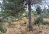 Sòl urbà en venda a la España, Castellvell del Camp, ref.: TR337551 foto