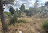 Sòl urbà en venda a la España, Castellvell del Camp, ref.: TR337551 foto