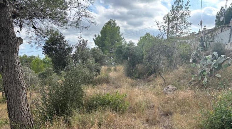 Tarragona - Castellvell del Camp - 1100m2