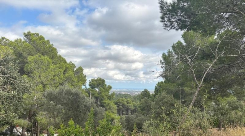 Tarragona - Castellvell del Camp - 1100m2