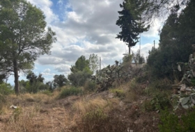 Foto 12