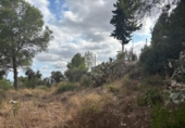 Sòl urbà en venda a la España, Castellvell del Camp, ref.: TR337551 foto