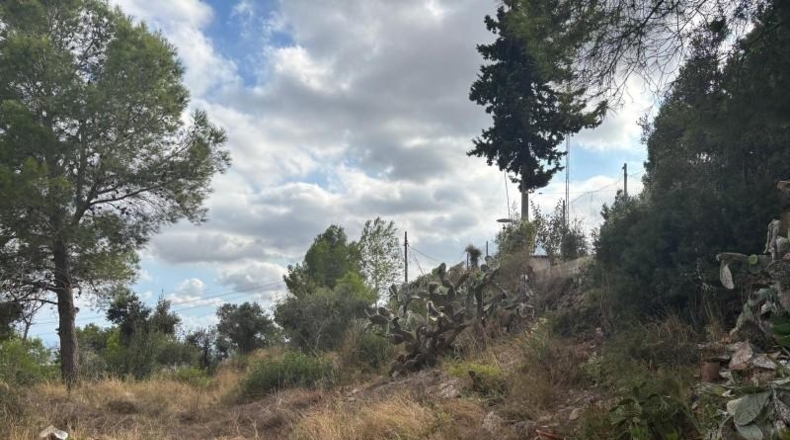 Tarragona - Castellvell del Camp - 1100m2
