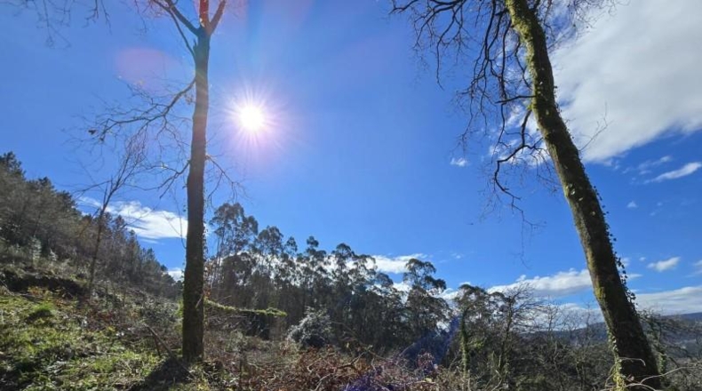 Pontevedra - A Rocha - 6327m2