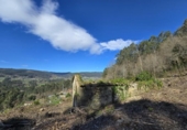 Xalet independent amb terreny en venda a la España, Tomiño, ref.: TR290846 foto