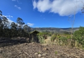 Xalet independent amb terreny en venda a la España, Tomiño, ref.: TR290846 foto