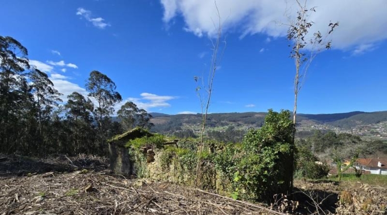 Pontevedra - A Rocha - 6327m2