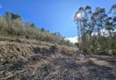 Xalet independent amb terreny en venda a la España, Tomiño, ref.: TR290846 foto