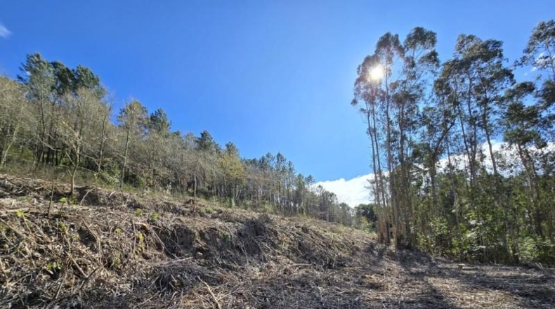 Pontevedra - A Rocha - 6327m2