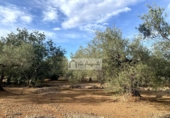 Terreno no urbanizable en venta en la España, l'Ampolla, ref: TR198740 foto