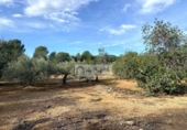 Terreno no urbanizable en venta en la España, l'Ampolla, ref: TR198740 foto