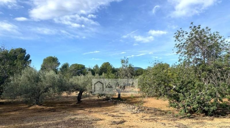 Tarragona - l'Ampolla - 26283m2