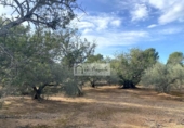 Terreno no urbanizable en venta en la España, l'Ampolla, ref: TR198740 foto