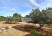 Terreno no urbanizable en venta en la España, l'Ampolla, ref: TR198740 foto