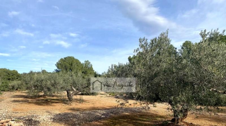 Tarragona - l'Ampolla - 26283m2